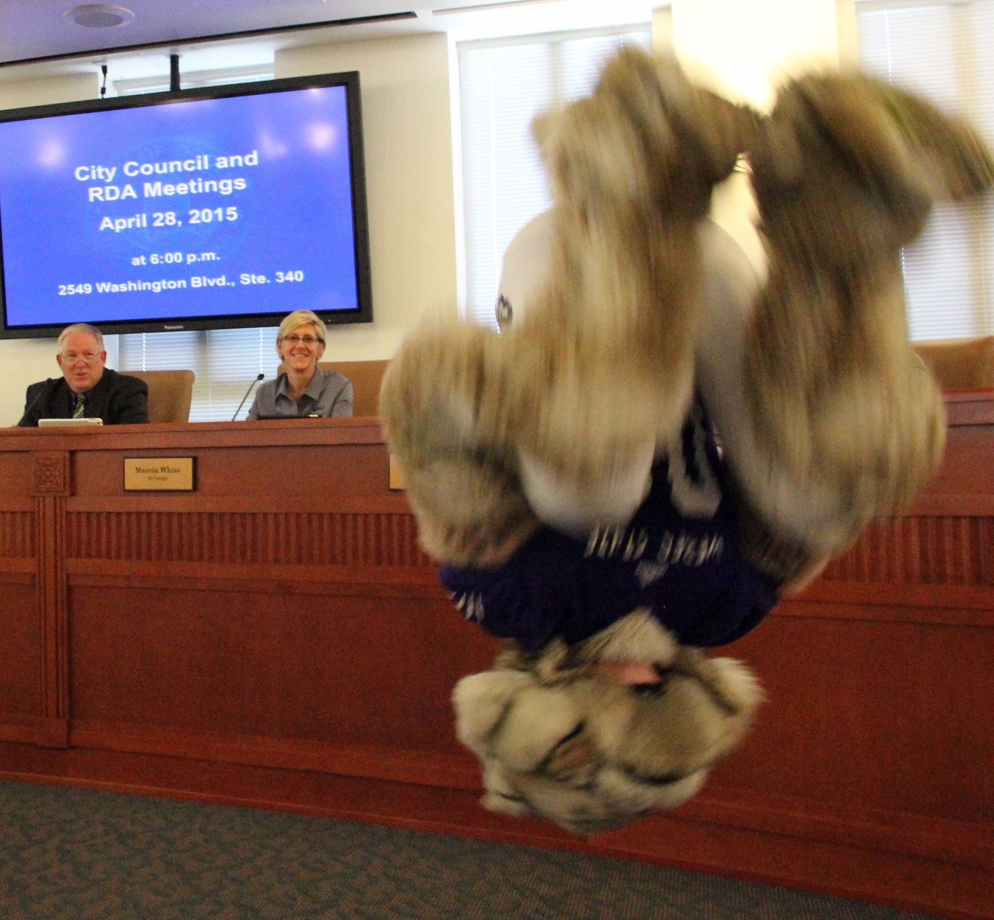 Waldo at Council Meeting