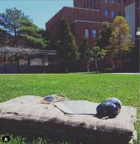 A blanket is folded, lying in the grass at the Amphitheater