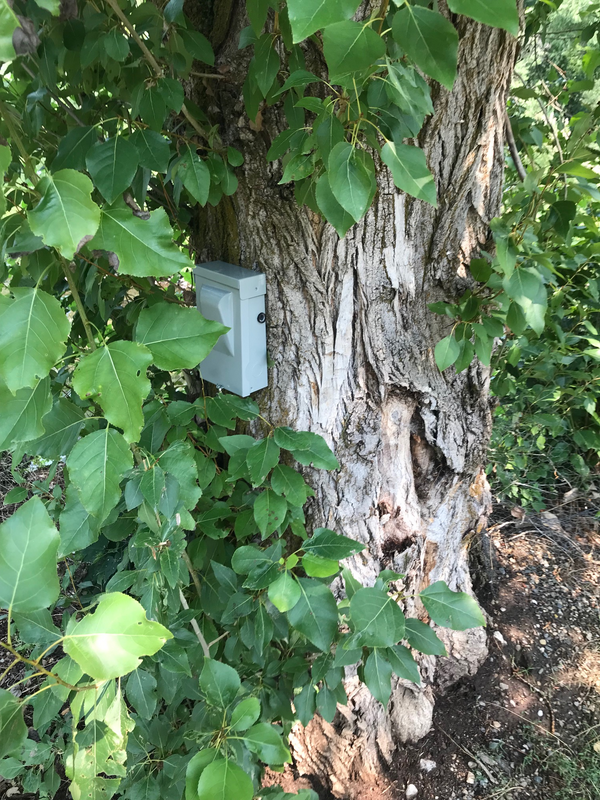 Parkway Trail West Counter