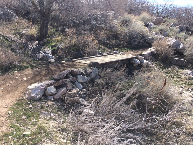 Upper Jump Off Bike Counter